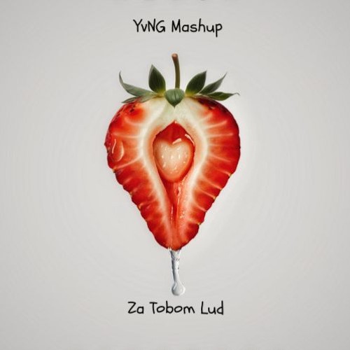 Relja - Za Tobom Lud(YvNG Mashup)