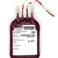 blood.mp3 (stuckinpain x lllockdown) #NXGHTSTXLKXRMIXX