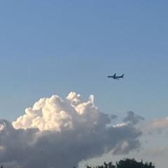 summer turns to autumn and anything between is my fault