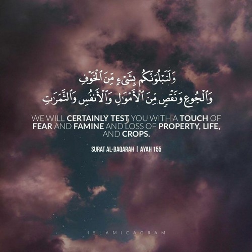 وَبَشِّرِ الصّابِرِين | محمود القرشلي