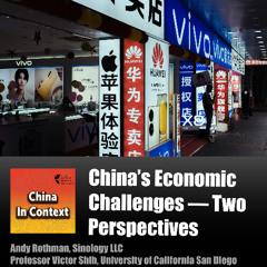 Ep185: China's Economic Challenges — Consumption Slump and Soaring Local Government Debt