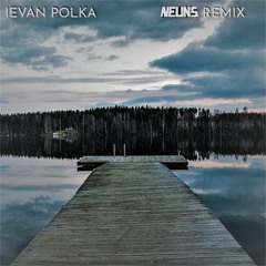 Ievan Polka (Neun's Remix)