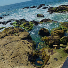 kora kuras - PipeLuxx & fallingmistakes