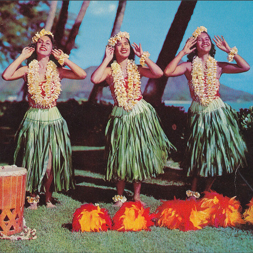 Stream Song to the Dashboard Hula Girl by Dogheart Jr. Listen online