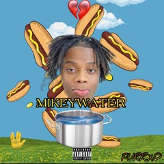 MIKEYWATER - PURR.XD