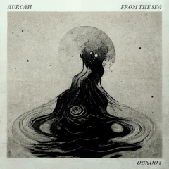Aurcah - From The Sea EP [OBN004 Clips]