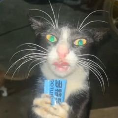 YOLO ft. わしみつる