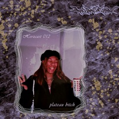 ✧plateau bitch✧₊°✧︡ Herzcast012 ˗ˋ ♡ ˎˊ ₊ -