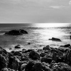Die See - Wildsilences And Nicholas Ridiculous