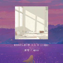 赵乃吉 - 原来你什么都不要 (1.1x DJ 王小龙版)【動態歌詞/pīn yīn gē cí】#赵乃吉 #原来你什么都不要 #動態歌詞