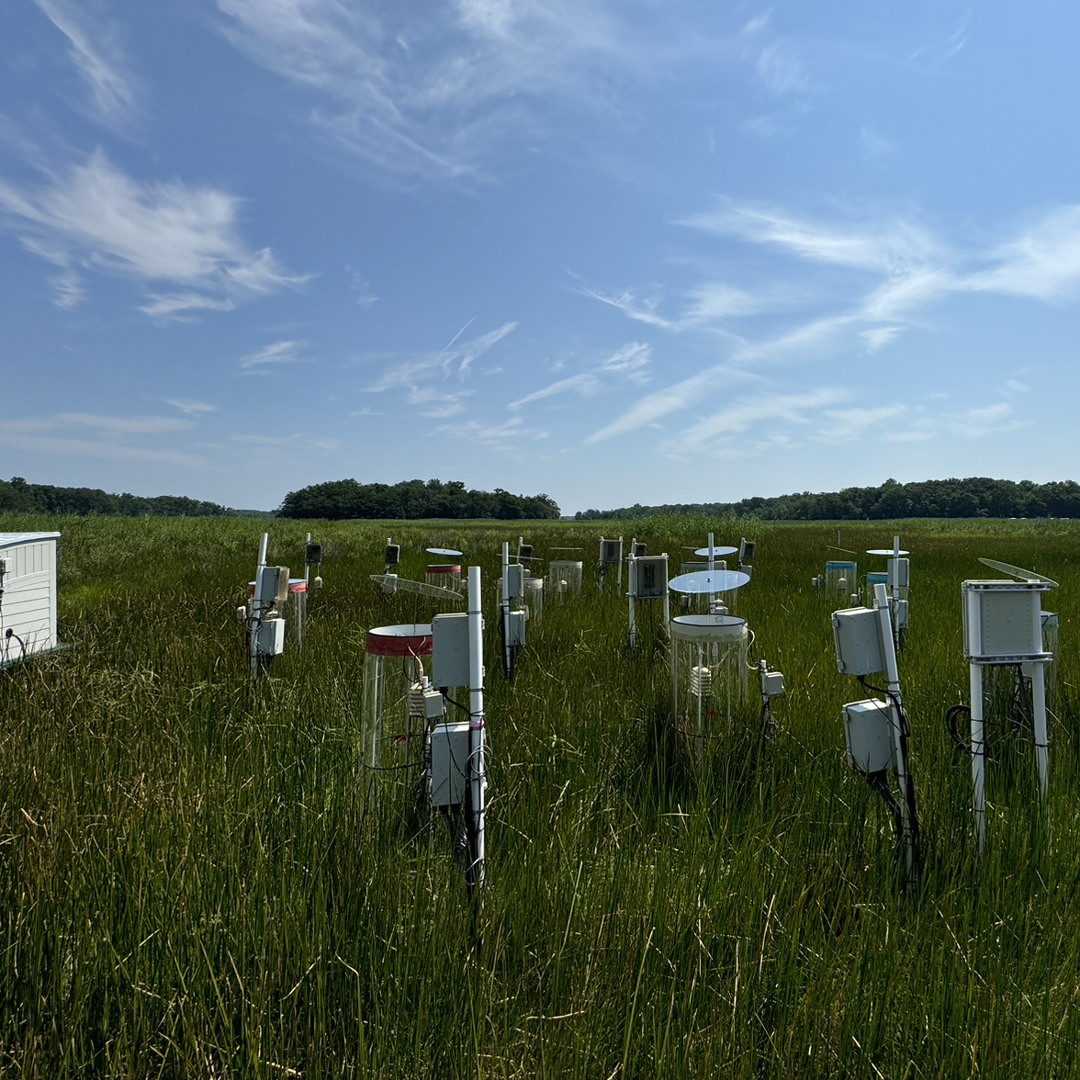 Stream 新倉美子 (yoshiko shinkura) all Of Meアルバム by spuddy