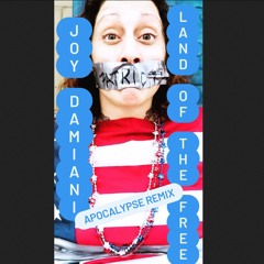 Land Of The Free (Remix)