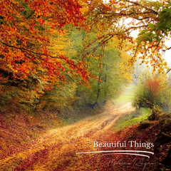 Beautiful Things - Piano