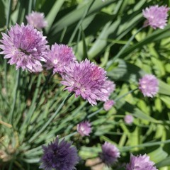 there is nothing here