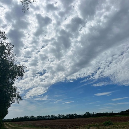 ちゃらさん❣️ Stream . by KXTSUYAGTゼ愛 | Listen online for free on SoundCloud