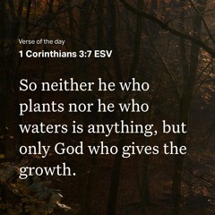 Glory be to God