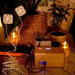 Alocasia odora Plant Playing Synth | Biodata Sonification + Atmosphere