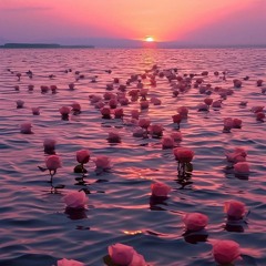Rosas sobre o mar