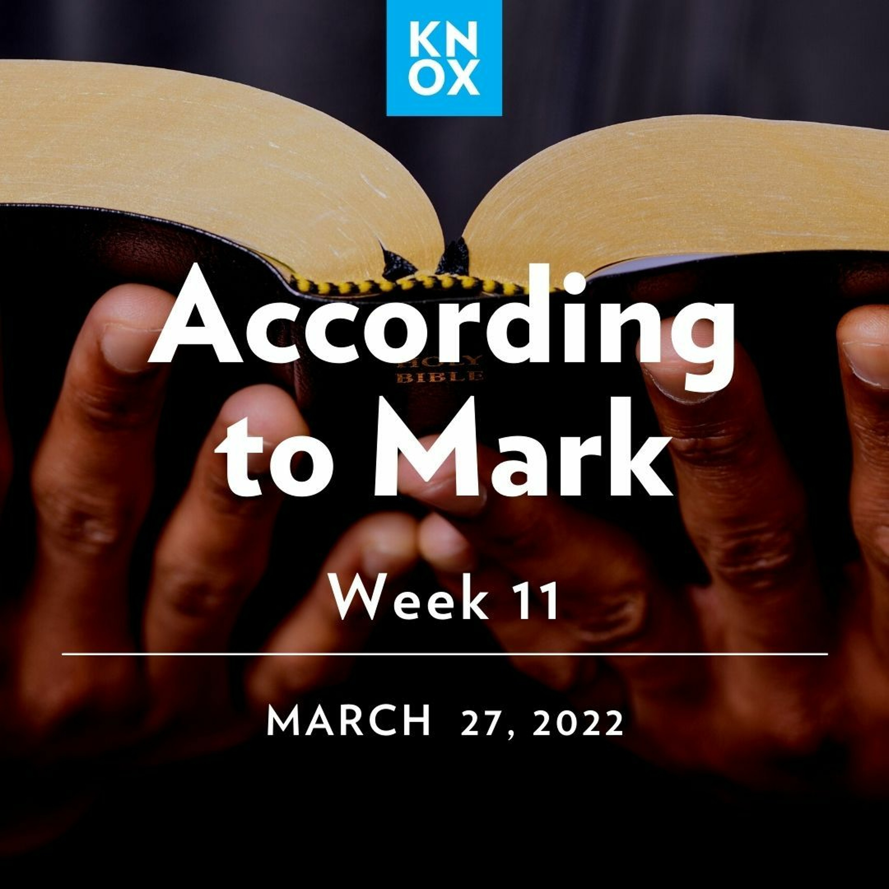 March 27, 2022 | Mark 12:1-12 | According to Mark: Week 11 episode artwork