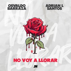 No Voy A Llorar