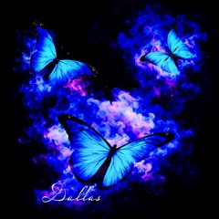Dallas - Butterflies