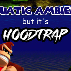 aquatic ambience but it's HOODTRAP/JERK