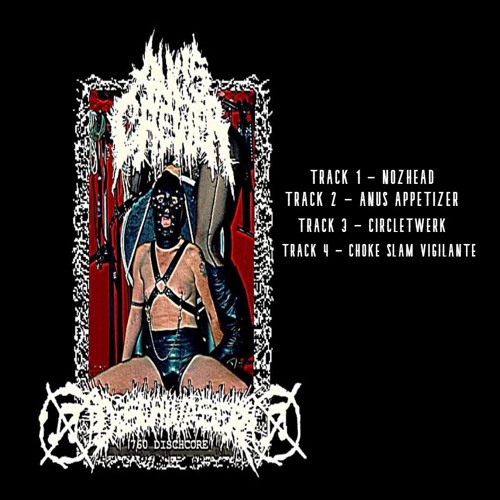 DISCHWASER/ANUS CHEWER SPLIT (4 TRACKS)
