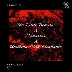 You Little Beauty X Aquarius X Walking With Elephants - Ryan Carty