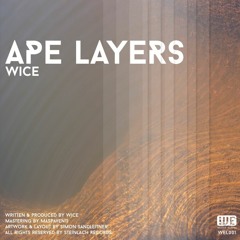 Wice - Courtyards At Midnight [WEL001 | Premiere]
