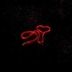LEASH (prod.ruan)