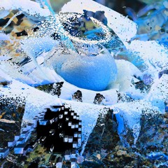 this_way_everything_succeeds!_20220823