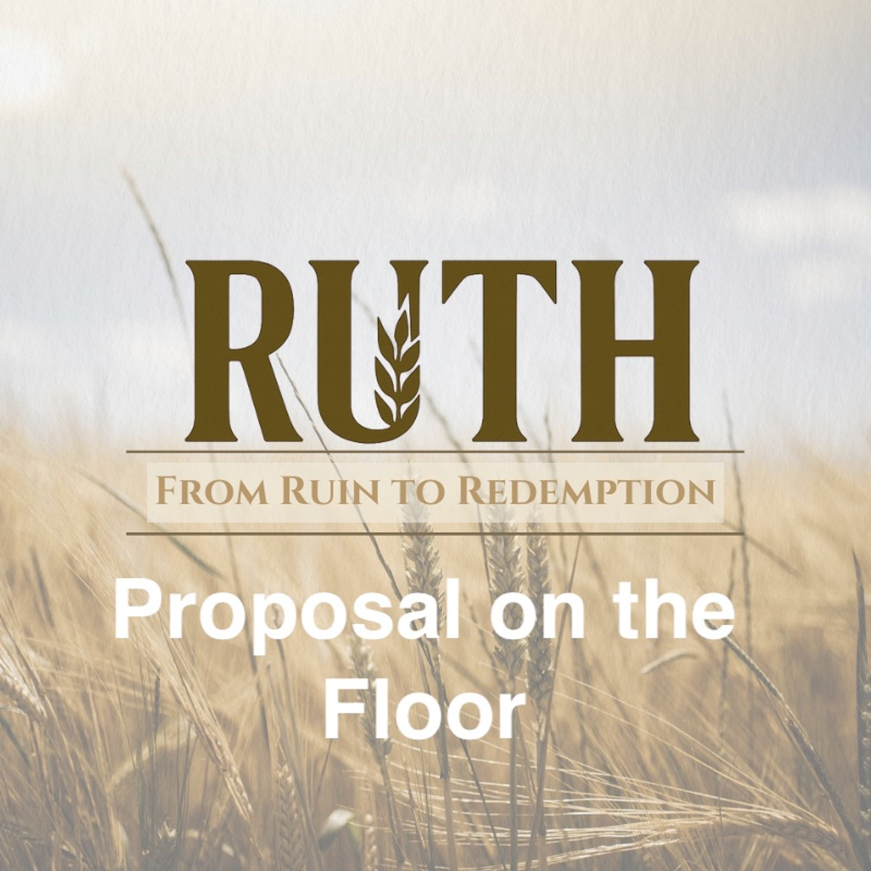 May 18/25  | Proposal on the Floor | Ruth 3 | Meldon Lutzer | episode artwork