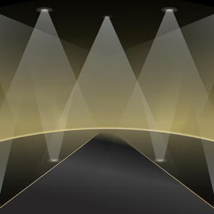 Fashion Frenzy