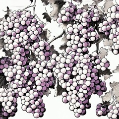Grape Wine