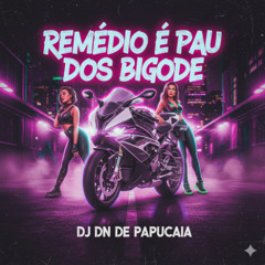 O REMEDIO É PAU DOS BIGODE [ DJ DN DE PAPUCAIA ]