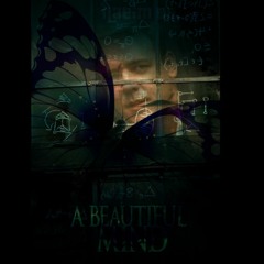 A Beautiful Mind