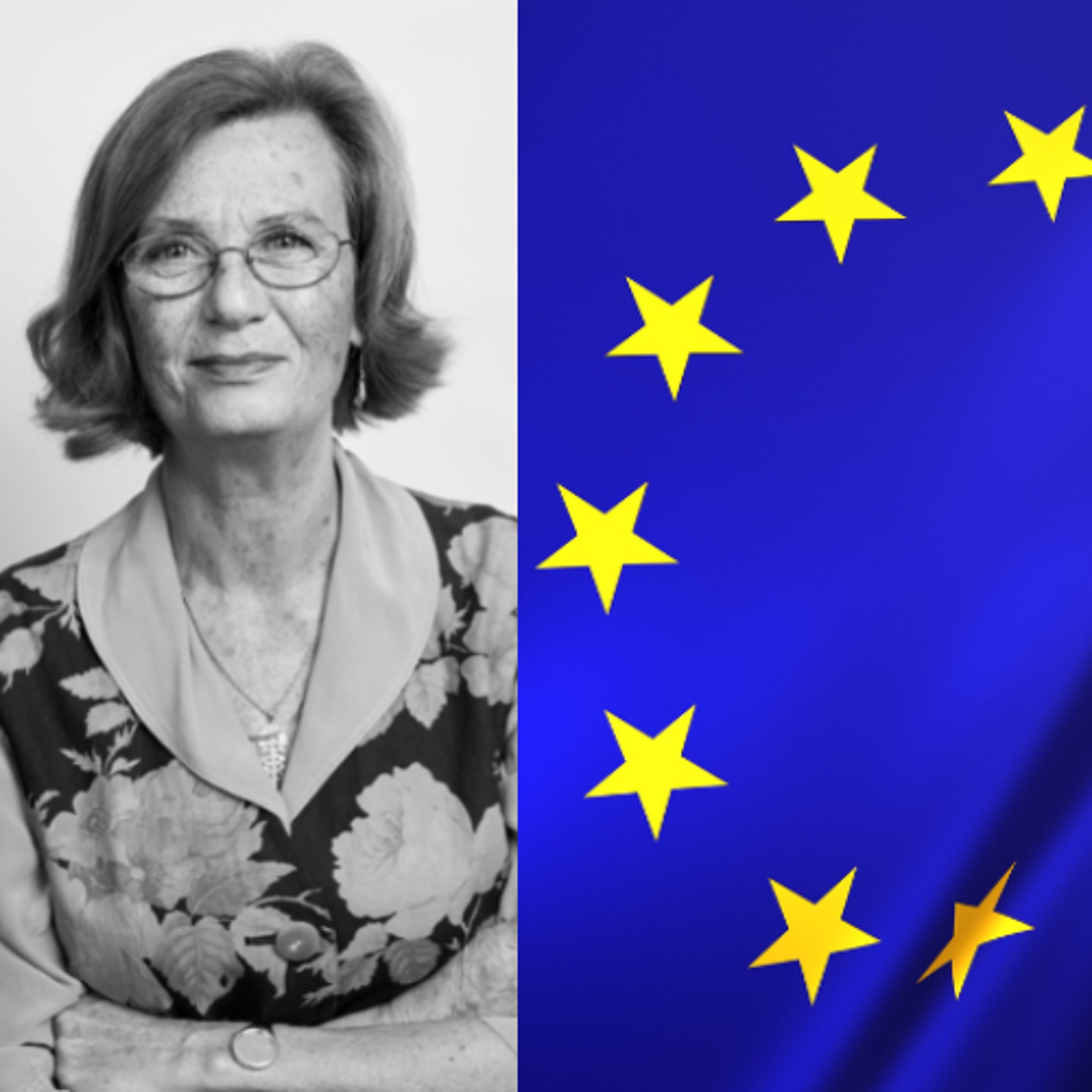 Hur ser försvarskapaciteten i Europa ut i dag? thumbnail
