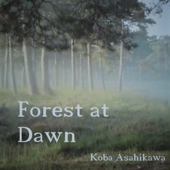 Forest at Dawn