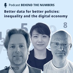 Better data for better policies: inequality and the digital economy