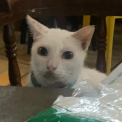 Rees & FRA - No One Else