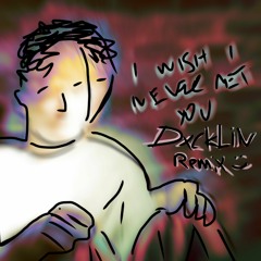 Wish I Never Met You DXCKLIN Remix