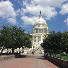 Review Special Price Guided Capitol Hill Walk With Us Capitol & Library Of Congress
