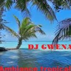 Mix Ambiance Tropical 2022