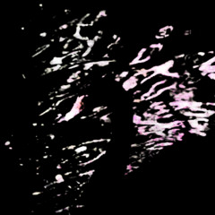black swan