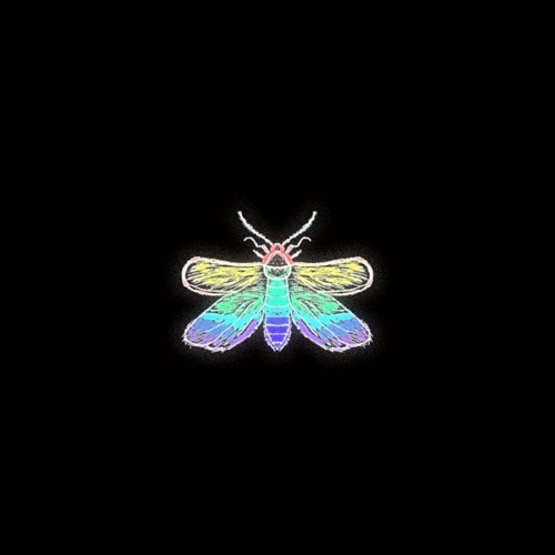 mybear - sinsyo