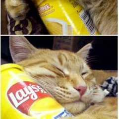 lays (churchh)