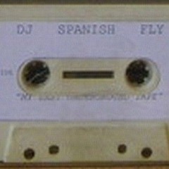 DJ Spanish Fly - Uzi Thang