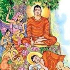 Homagama Galavilawatta 05 : 2024-05-23