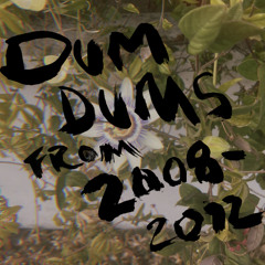Dum Dums From 2008 - 2012