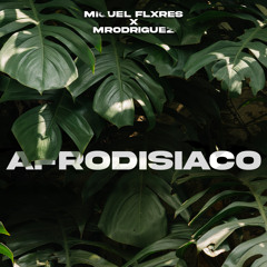 Mrodriguez, Miguel Flxres - Afrodisíaco